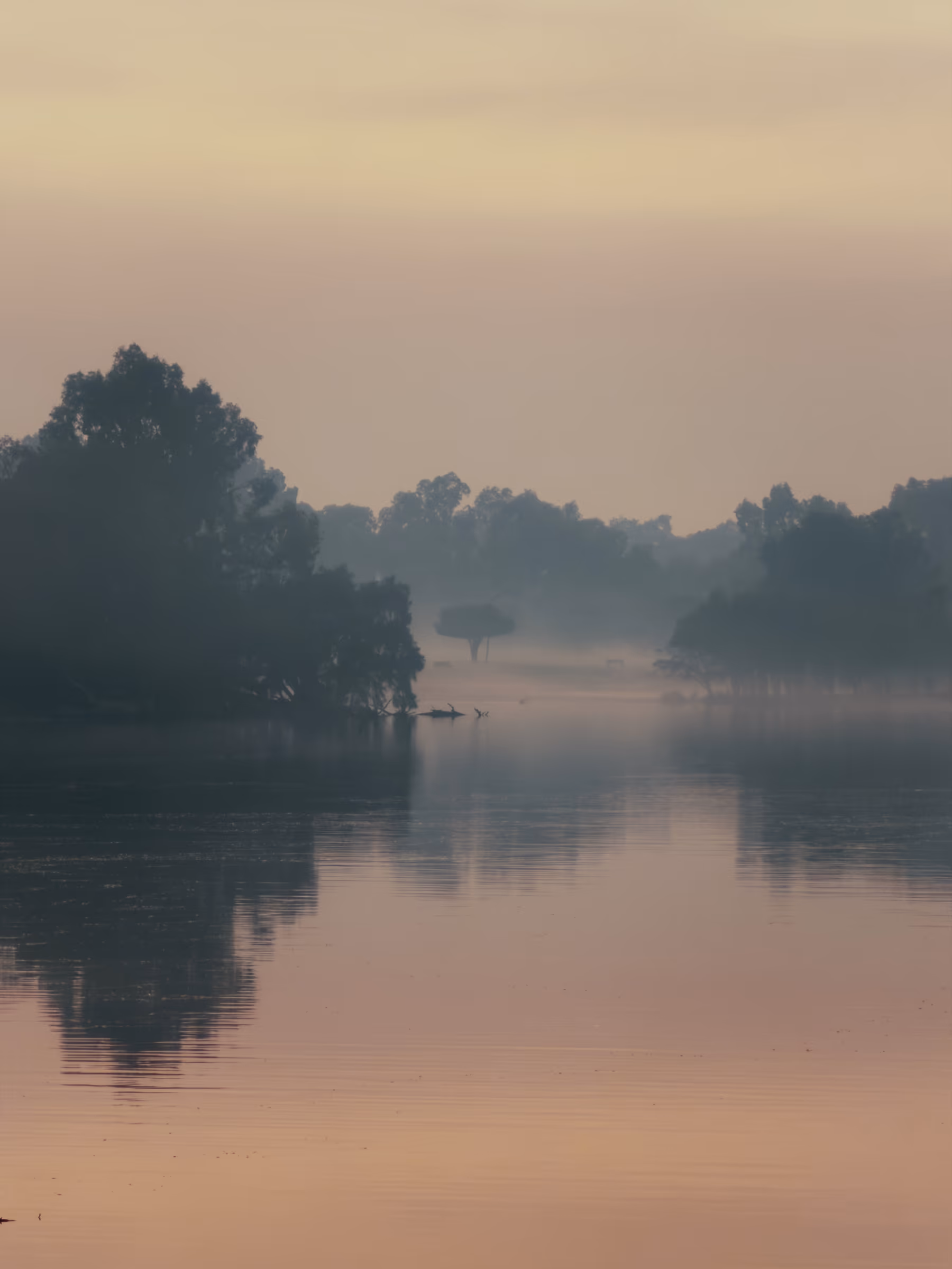 Mist on the water