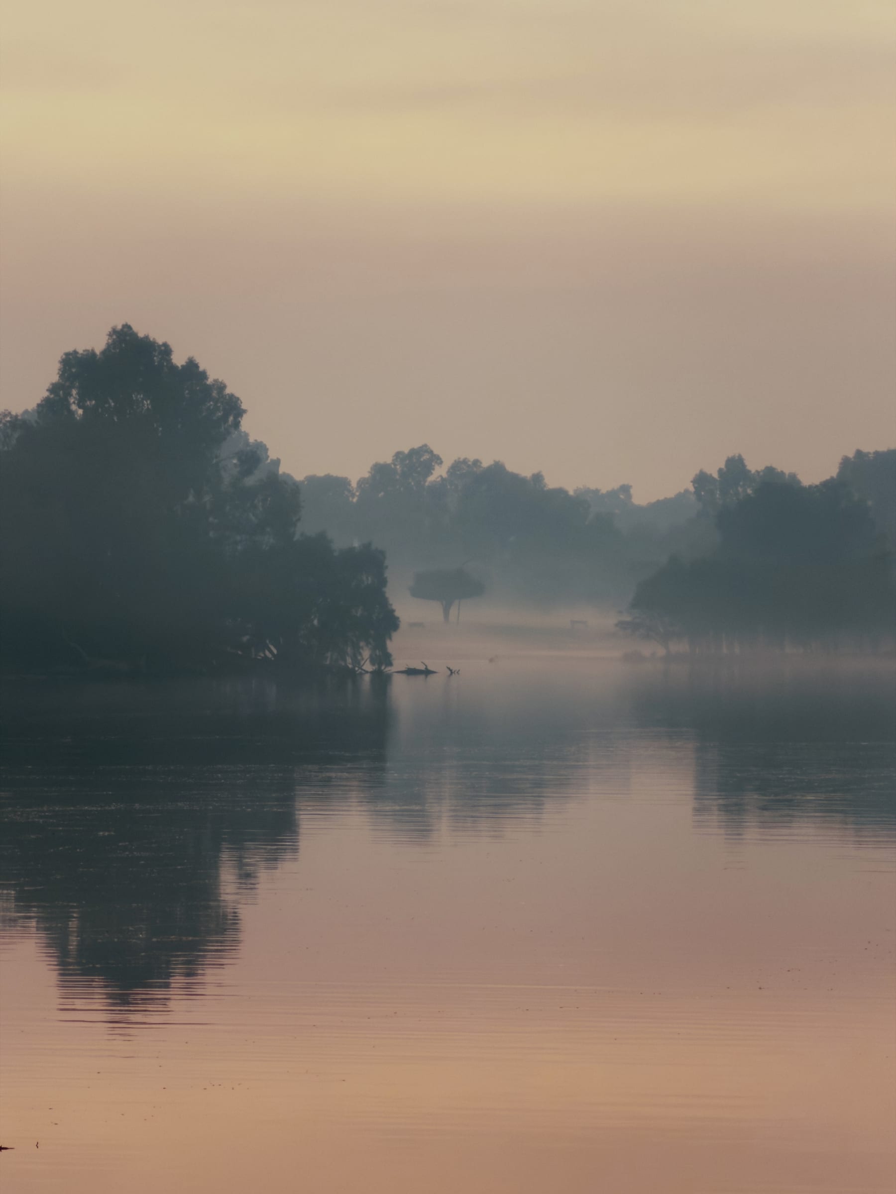 Mist on the water