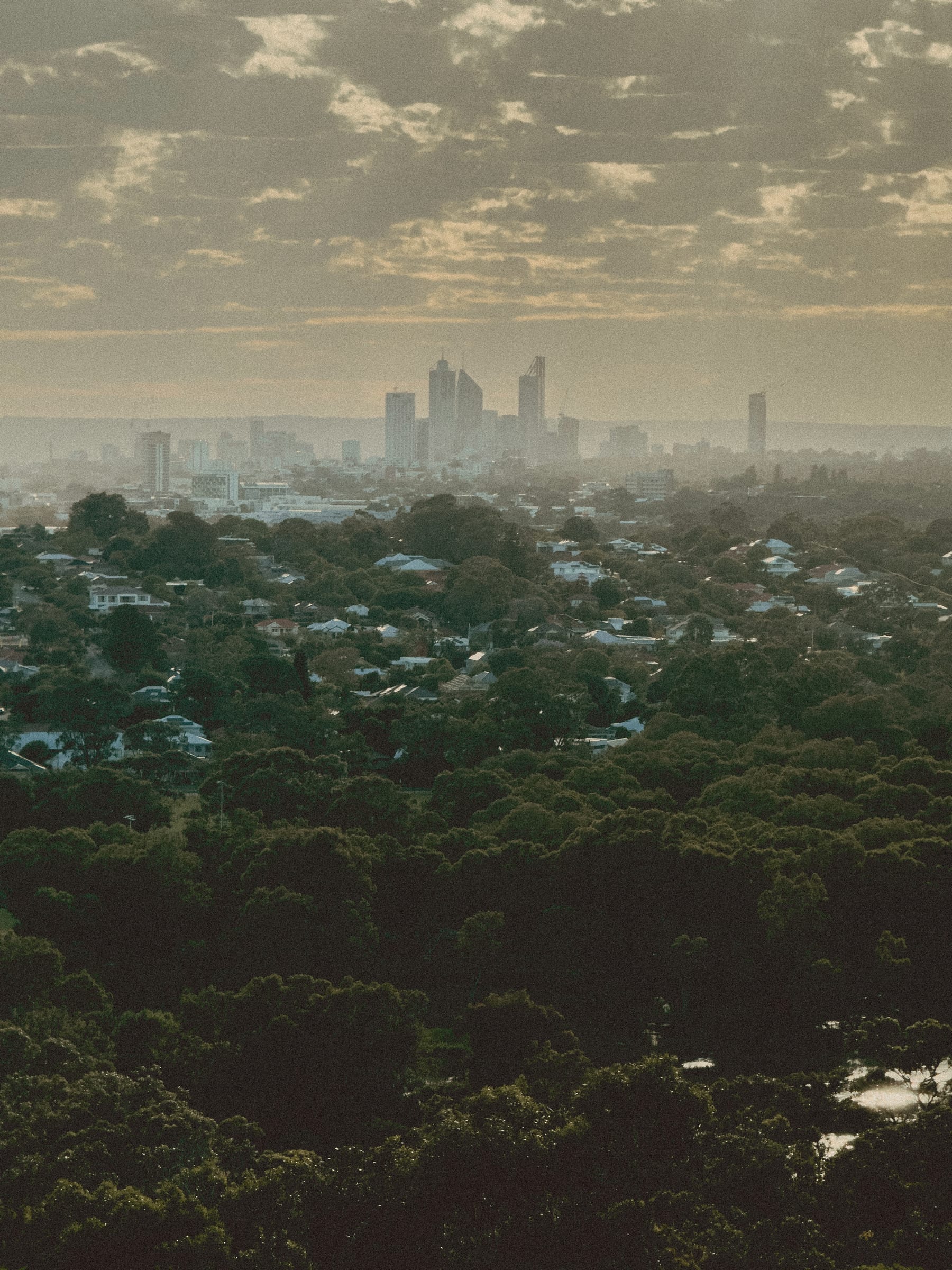 Hazy city, treetops