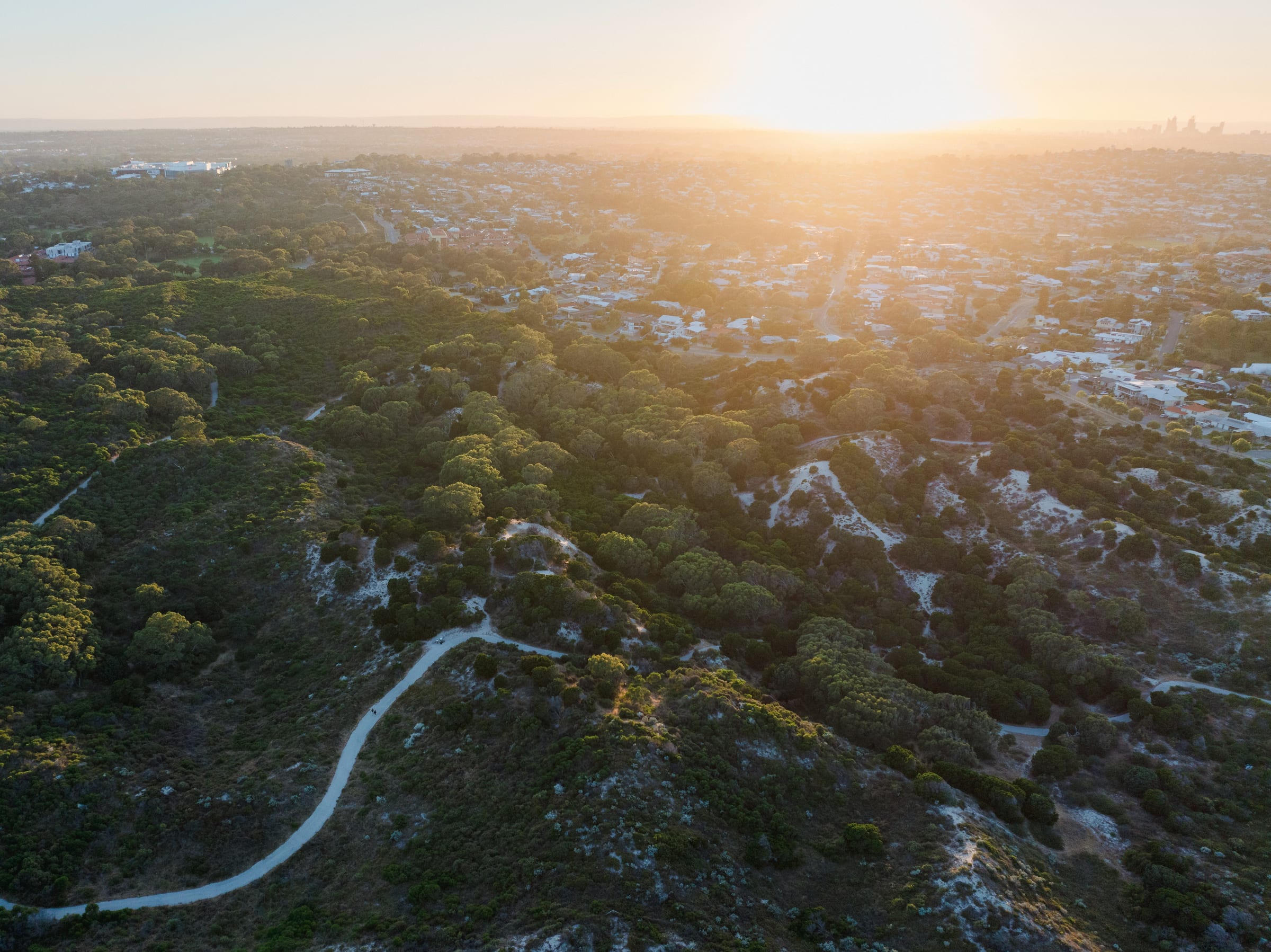 Bushland to the city